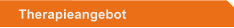 Therapieangebot